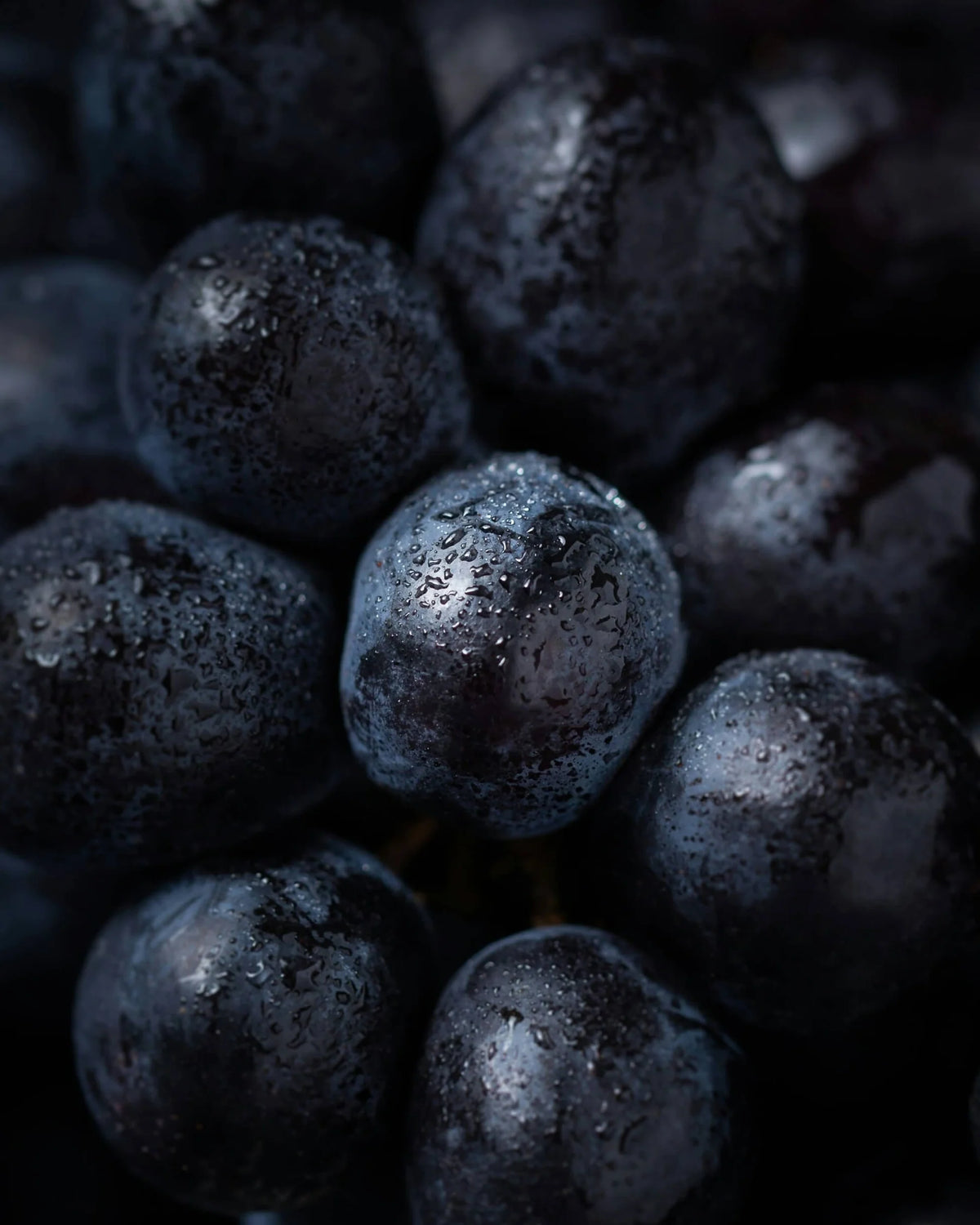 Grape Cassis
