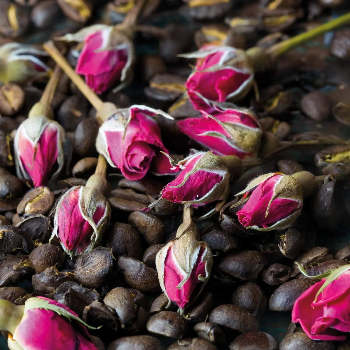 Rose Espresso