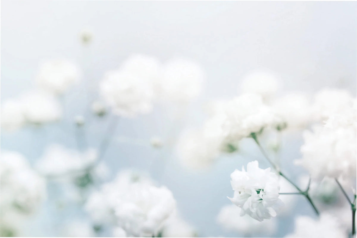 White Musk
