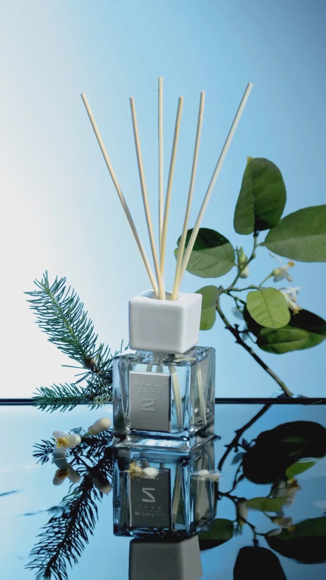 Zona Geurstokjes 100 ml Oxygen